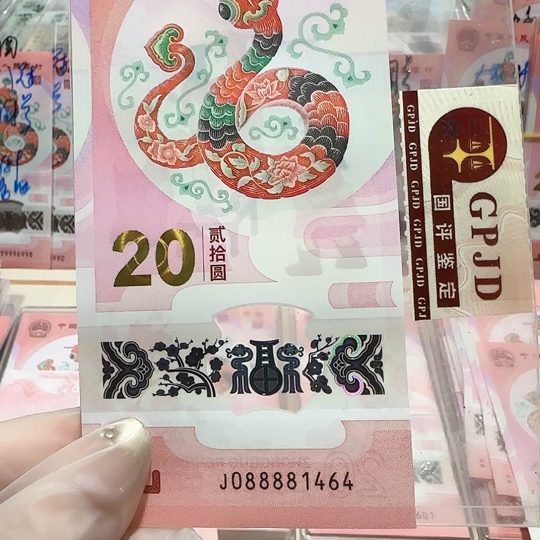 纸088881464。。。。。。。