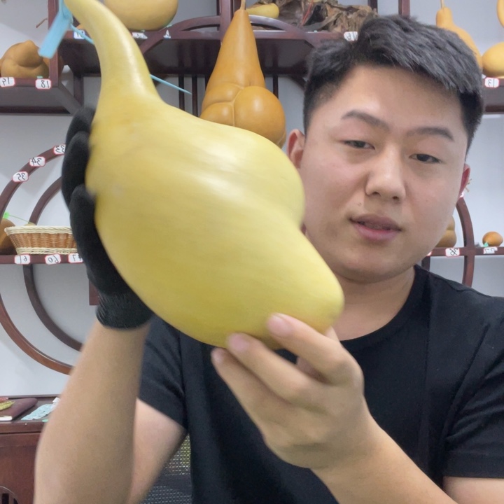 胡圆形海豚连体异形