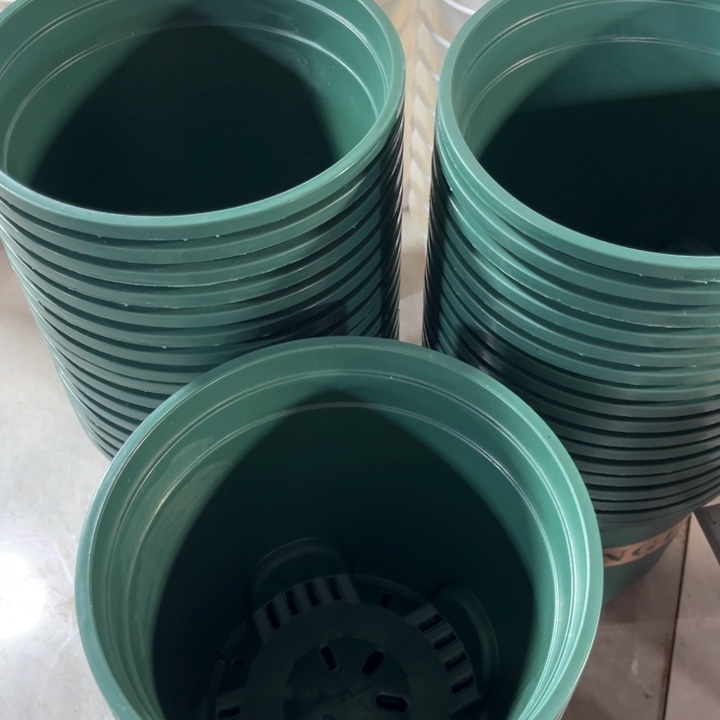 树脂绿加伦口19高19一组5