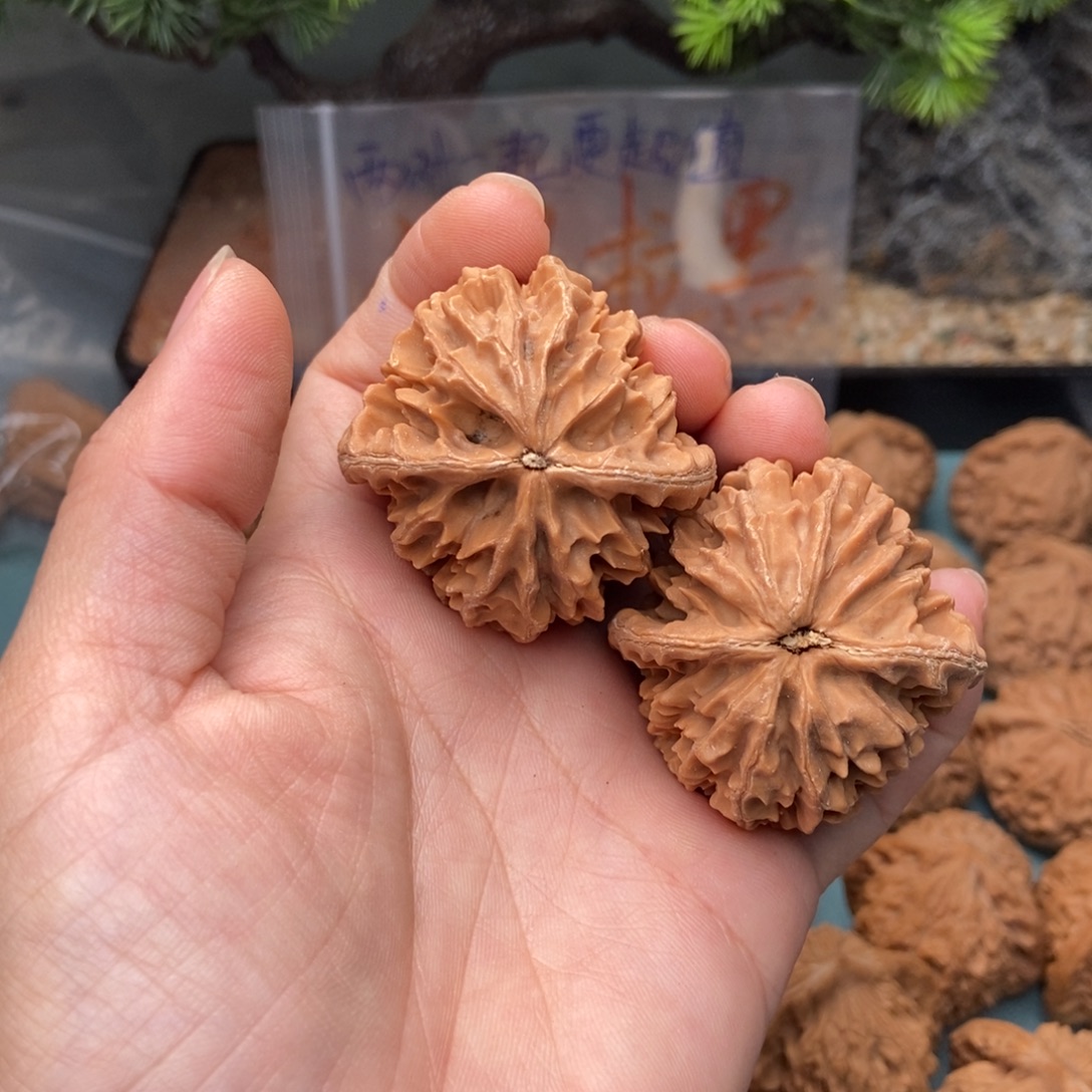 文玩核桃把件招财鼠34