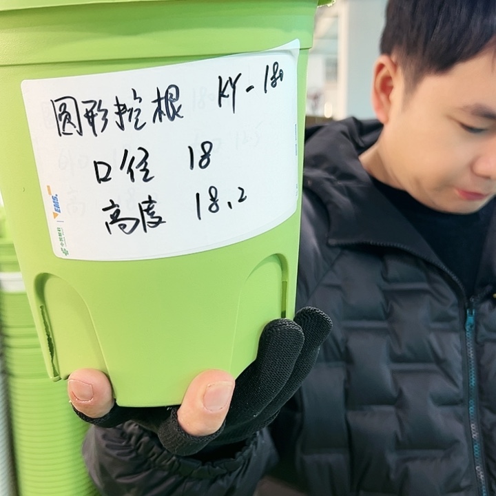正品圆控口18高18果绿色8个无托