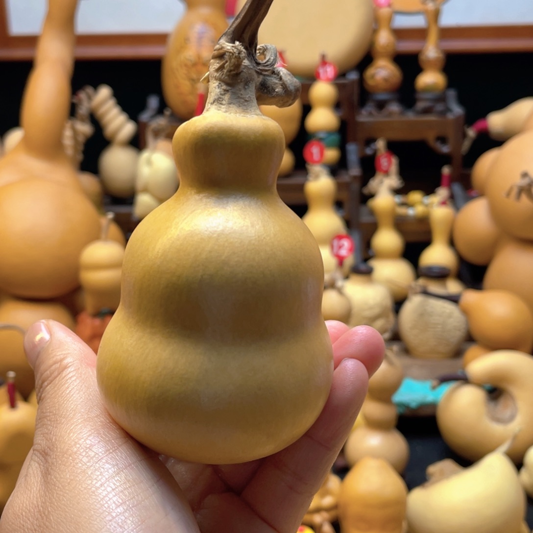 啦*大自然的秘密是什么啊哈哈哈
