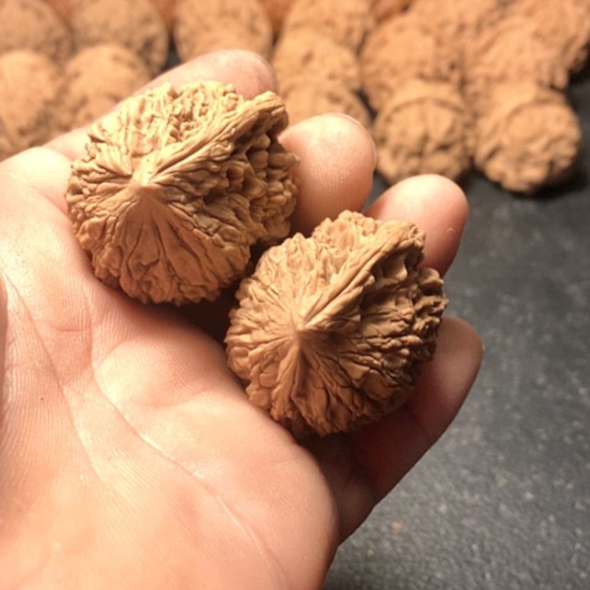 【闪购商品】姜**九一根筋