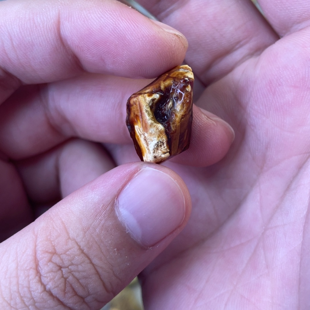 定制琥珀天然琥珀