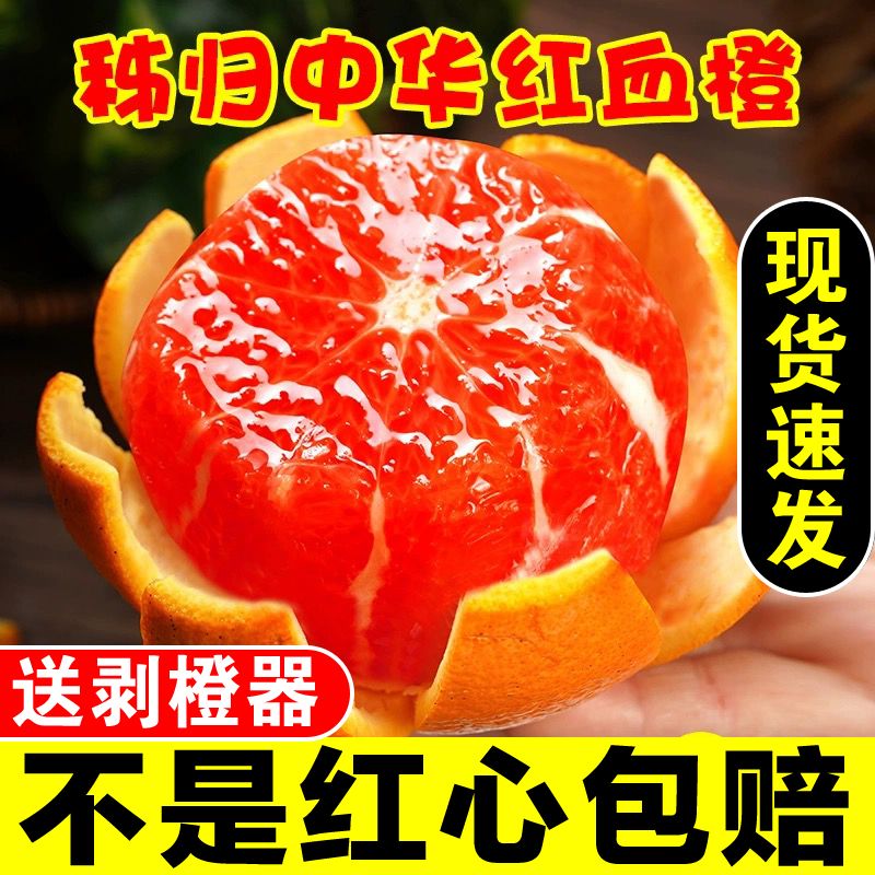 秭归中华红橙子新鲜水果当季整箱红心肉甜