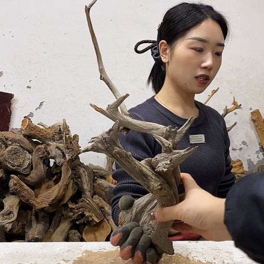 粤***商柏木我们都是好孩子