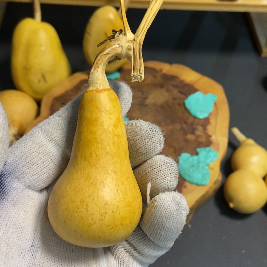 一***布葫芦葫芦真的