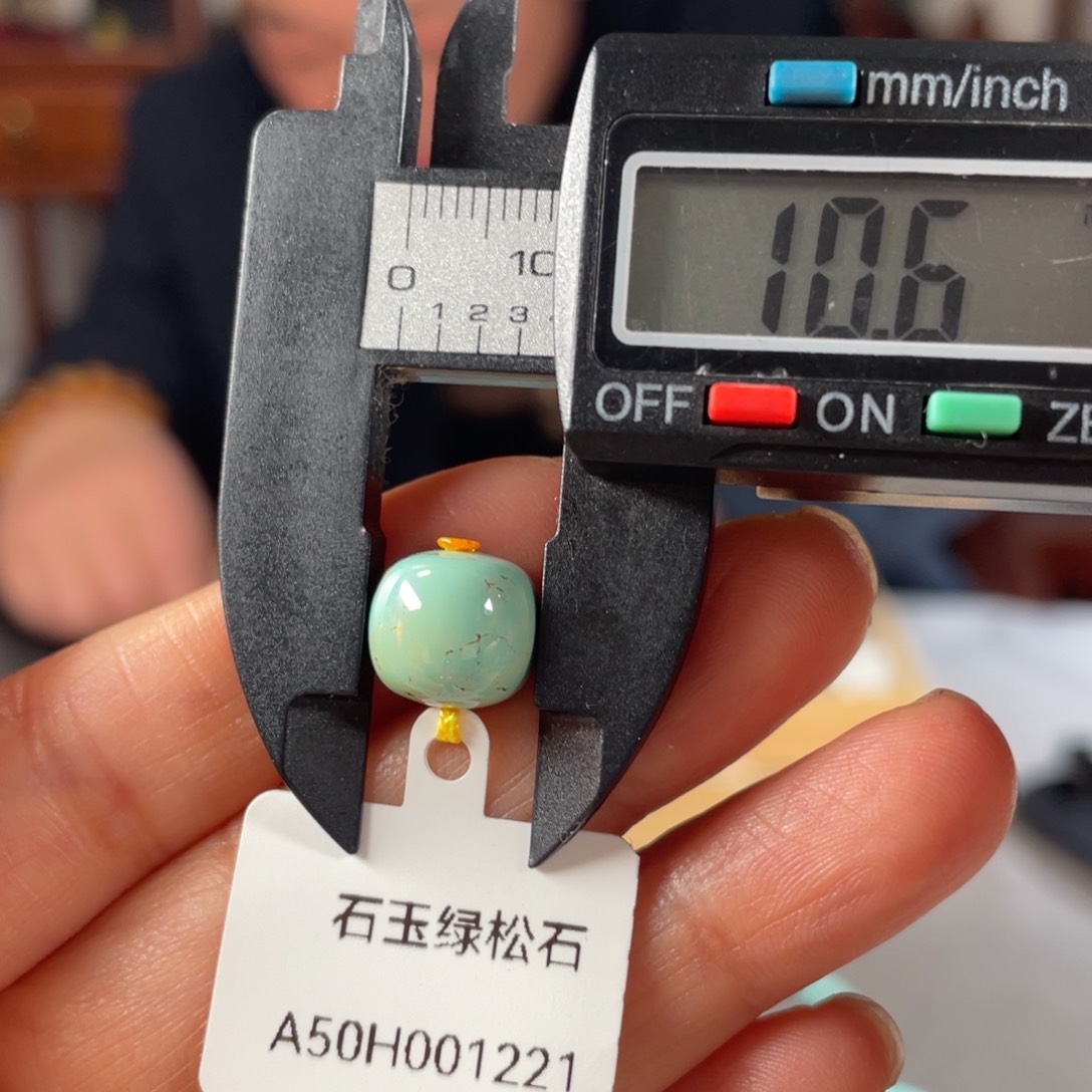 绿松石颈饰未镶嵌