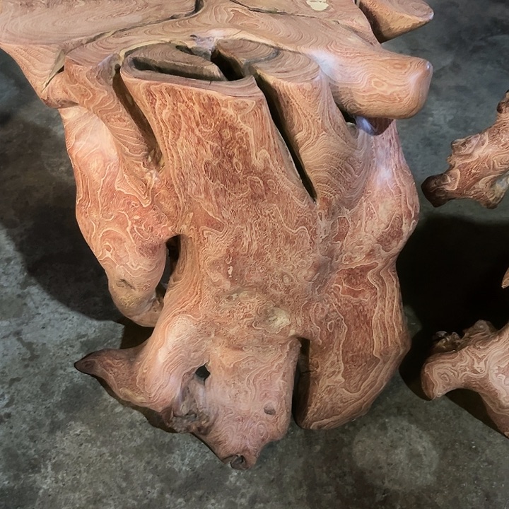 风车木（黑檀木）淡**哥我在这里等你们