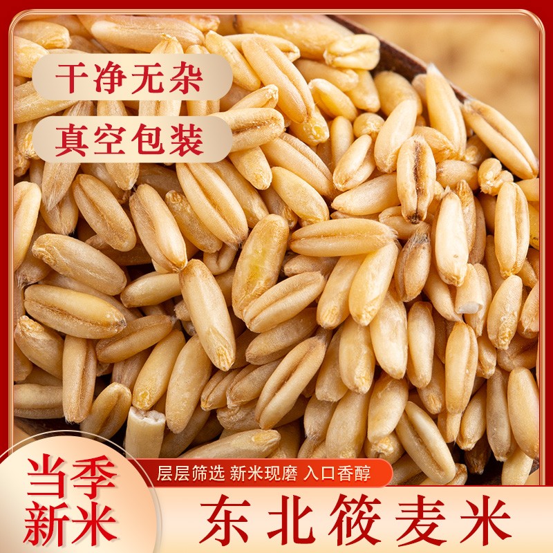 2025新货燕麦米莜麦油麦玉麦燕新米麦仁野麦雀麦胚芽燕麦粒真空装