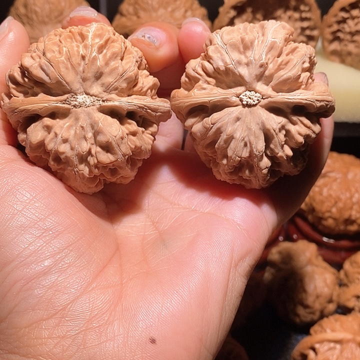 文玩核桃把件承****受48粗筋打底