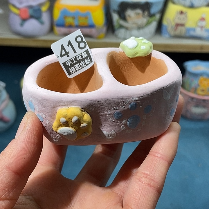 大舅生石花肉锥多肉418