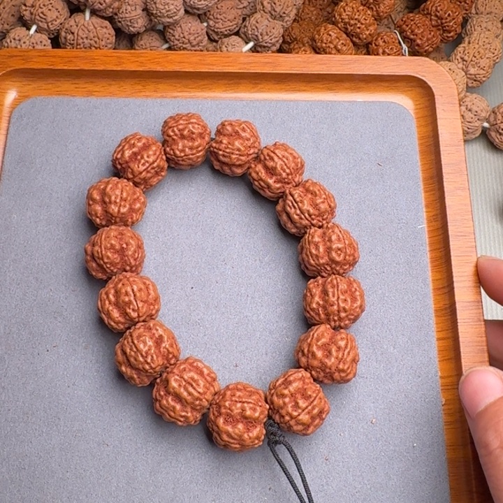 菩提14号尼泊尔小金刚帝王花20