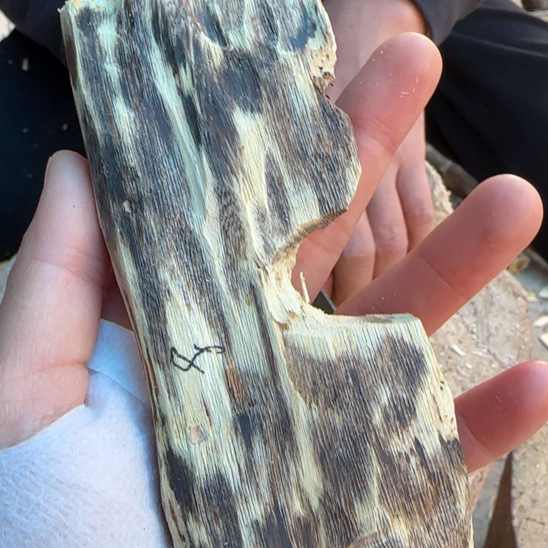 树脂制品8号奇楠原木一个