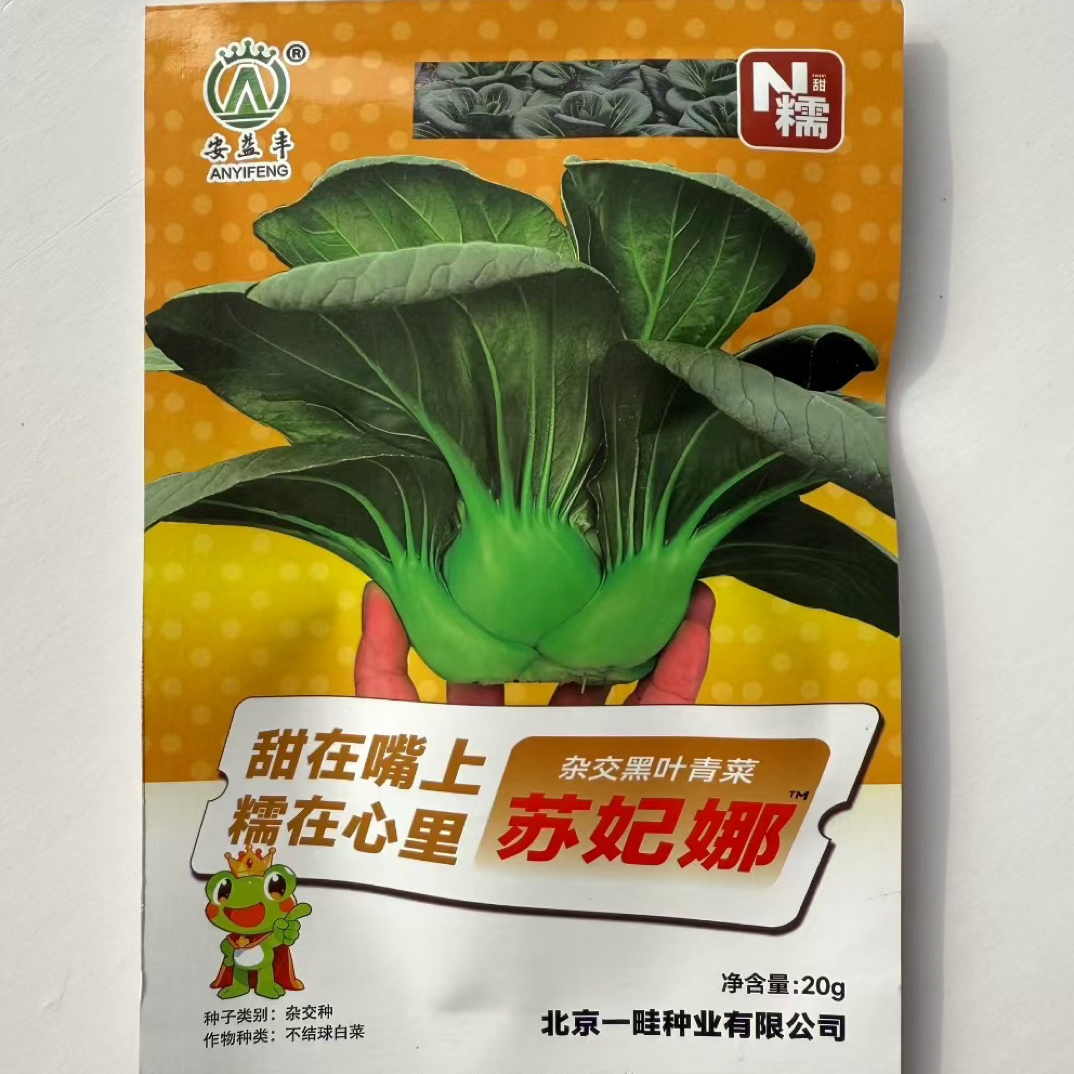 杂交黑叶青菜种子软糯青菜苏州青种耐寒口感软糯香甜秋季蔬菜种子