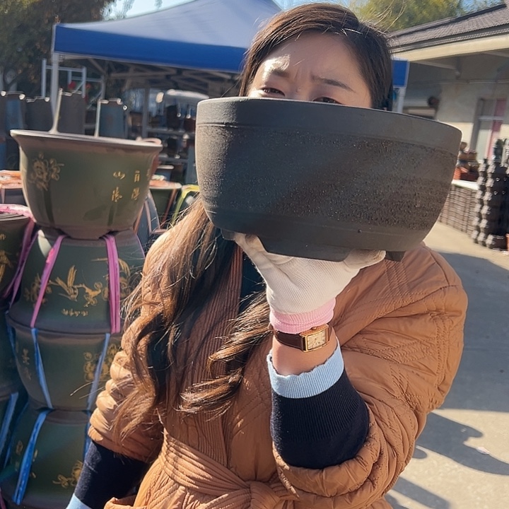 拉毛绿萝小花盆花盆花盆