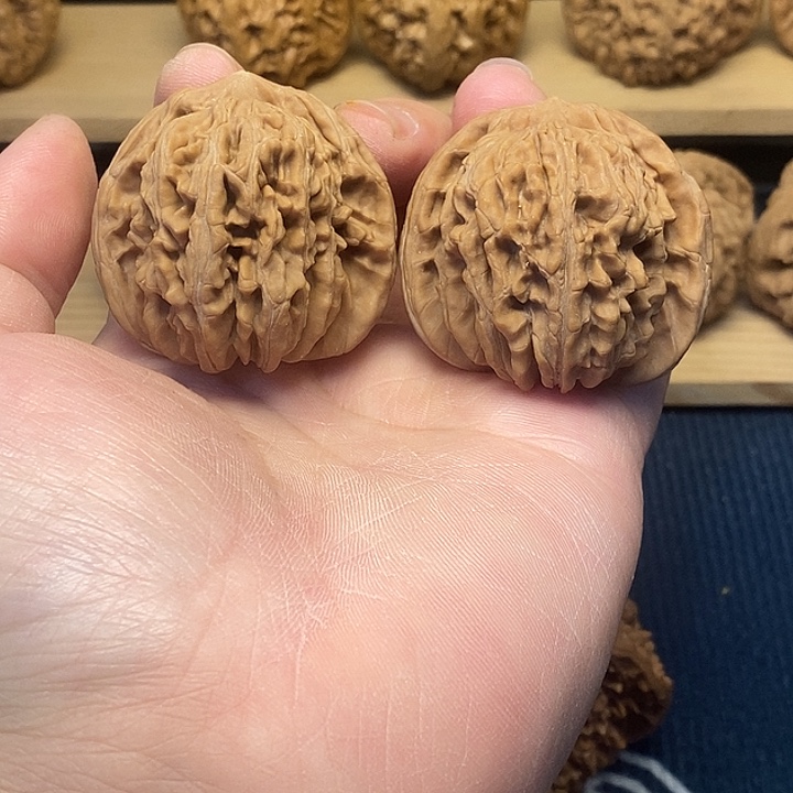 核桃43全品四座楼福利