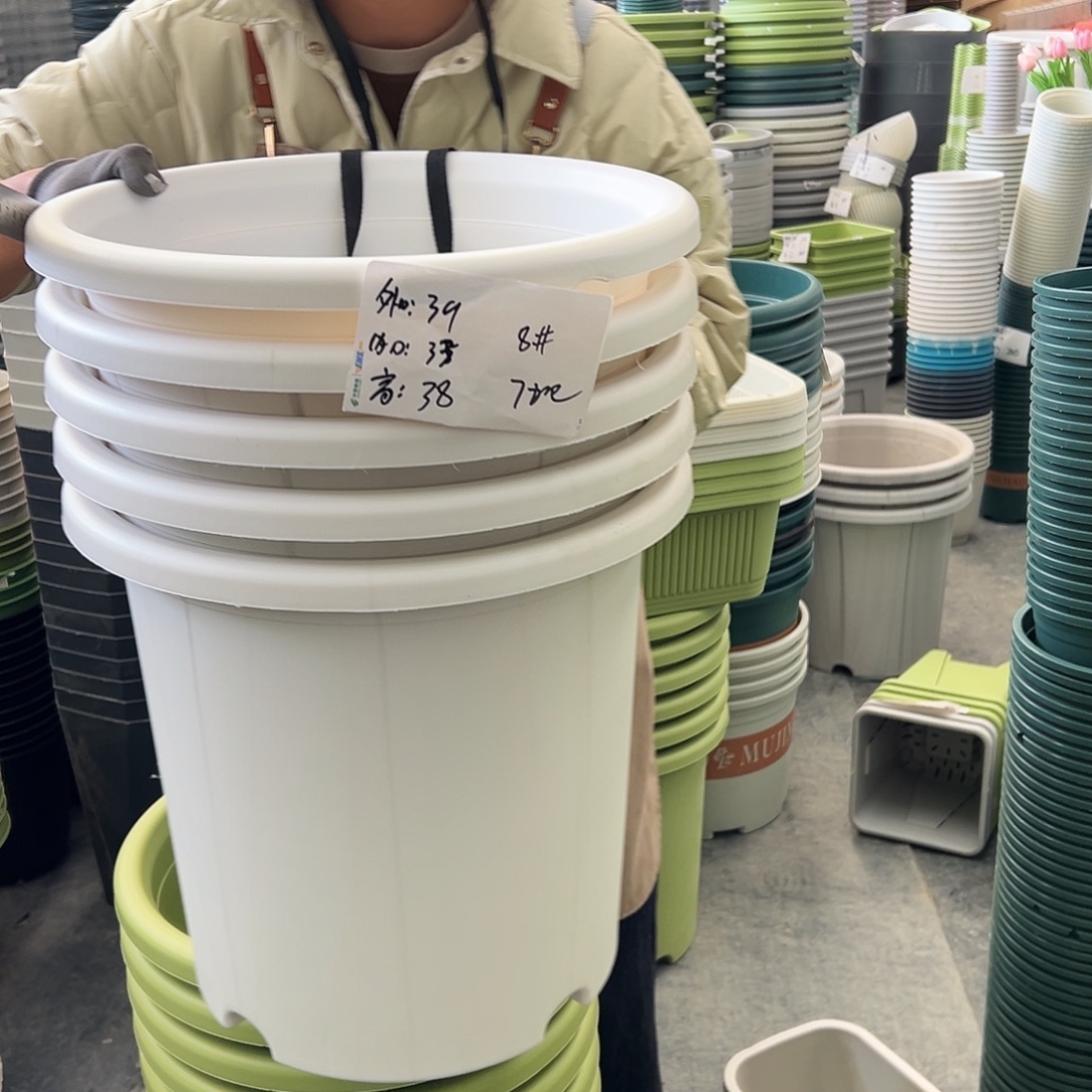 瑕疵四季盆8#白色5个无托