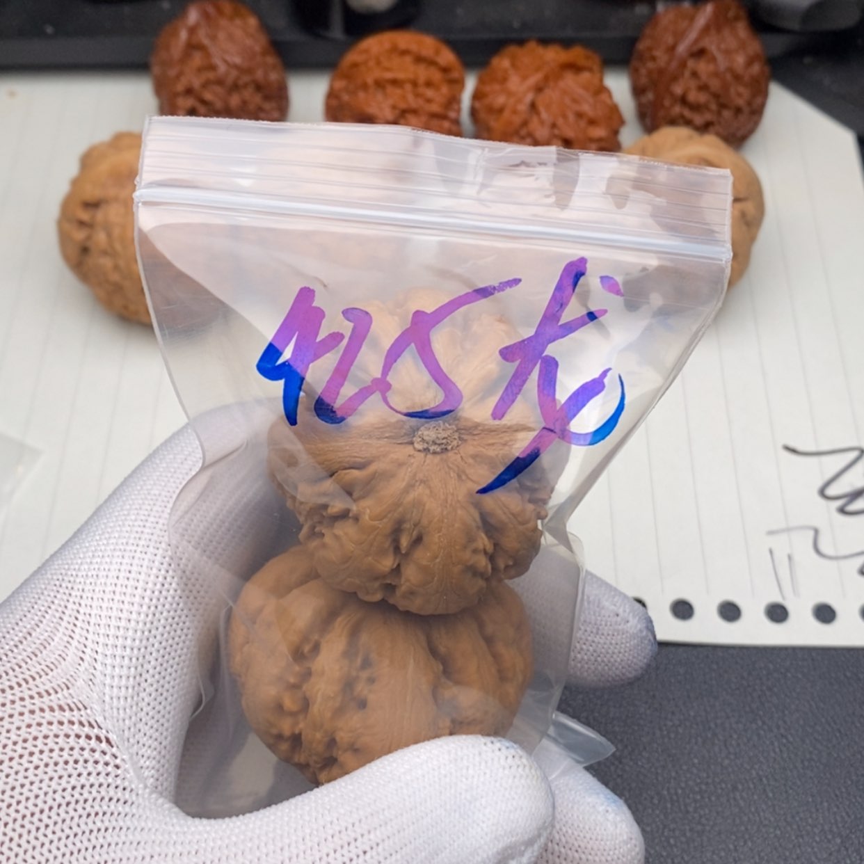 【闪购商品】文玩核桃吊坠霸王龙