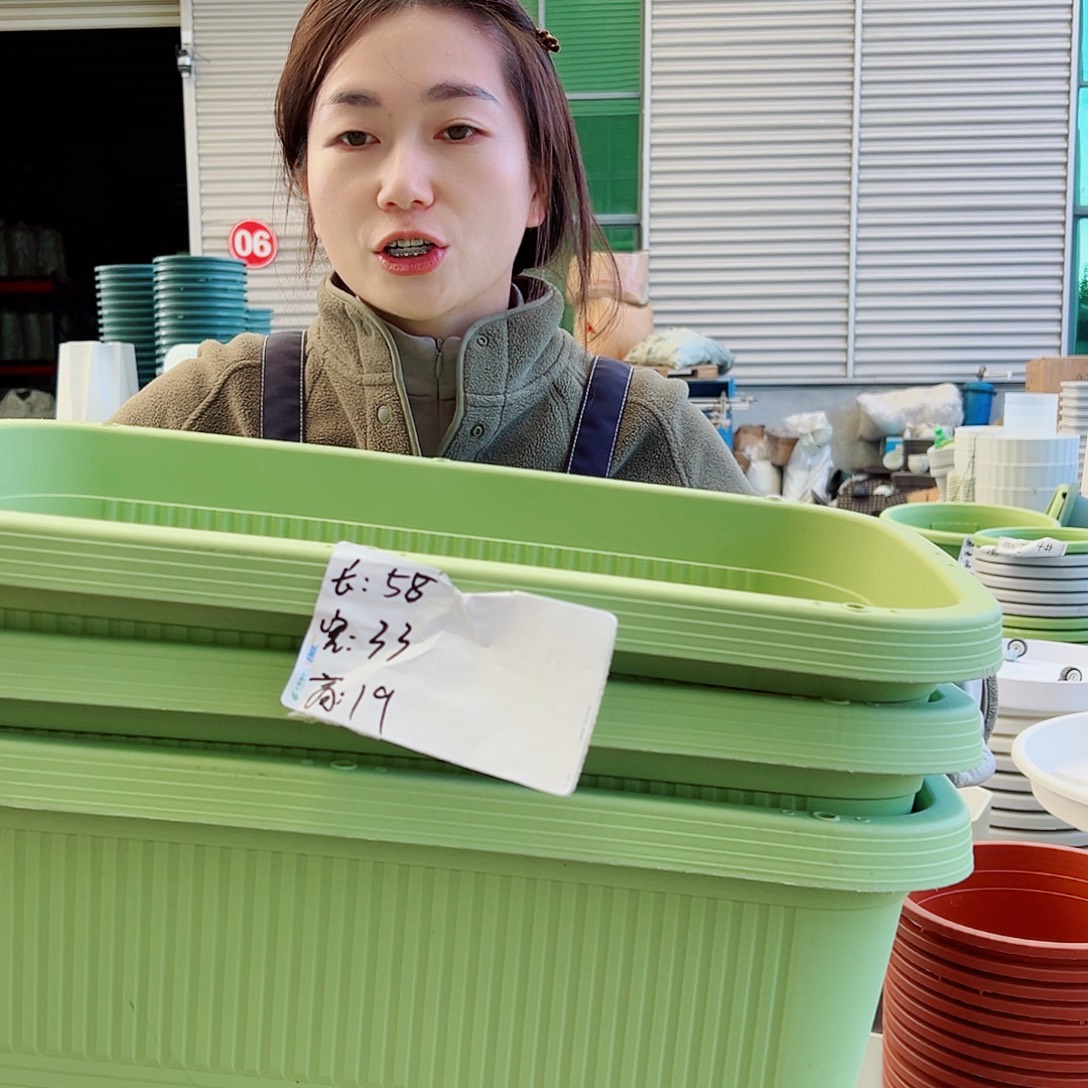 菜盆600#果绿10个无托