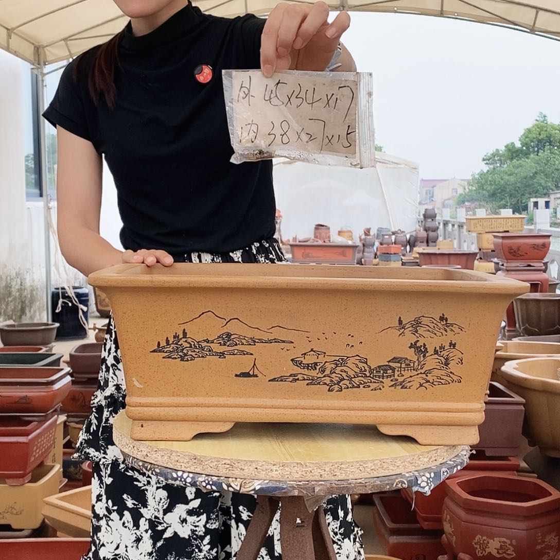 紫砂花盆紫砂花盆