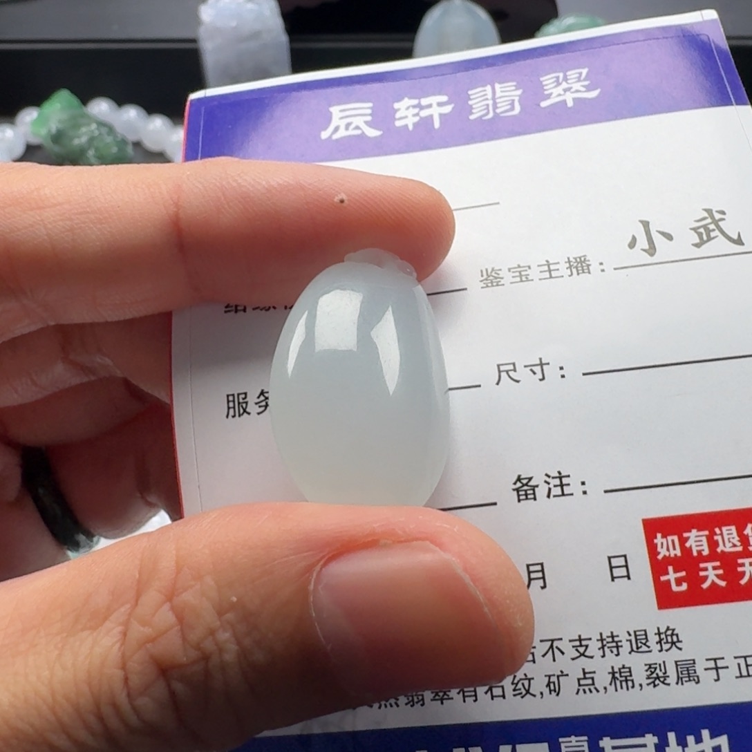 佳***_翡翠未镶嵌颈饰     16