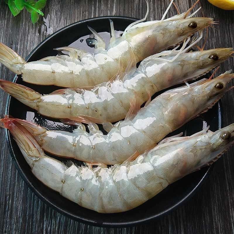 海水大虾4斤 肉质鲜嫩大个头海水大虾单只15~18cm 4斤共50~60只海虾