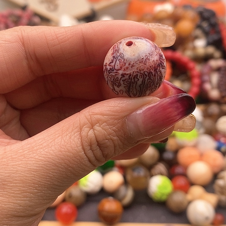 大果紫檀（缅甸花梨）20m