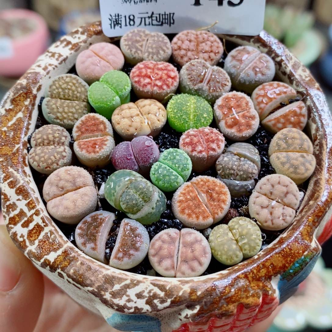 笑**生生出孩子们要求自己做家务143