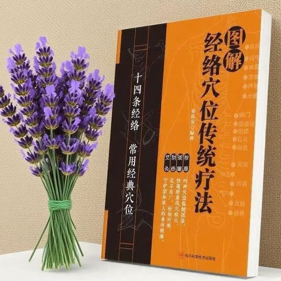 图解经络穴位传统疗法 十四条经络常用经典穴位 按摩拔罐刮 