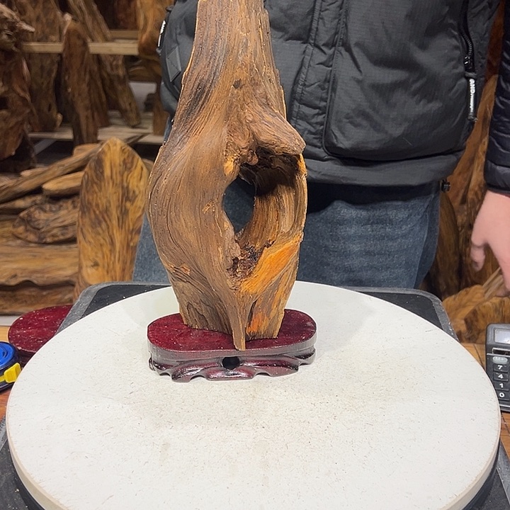 松木（琥珀木）扁****活