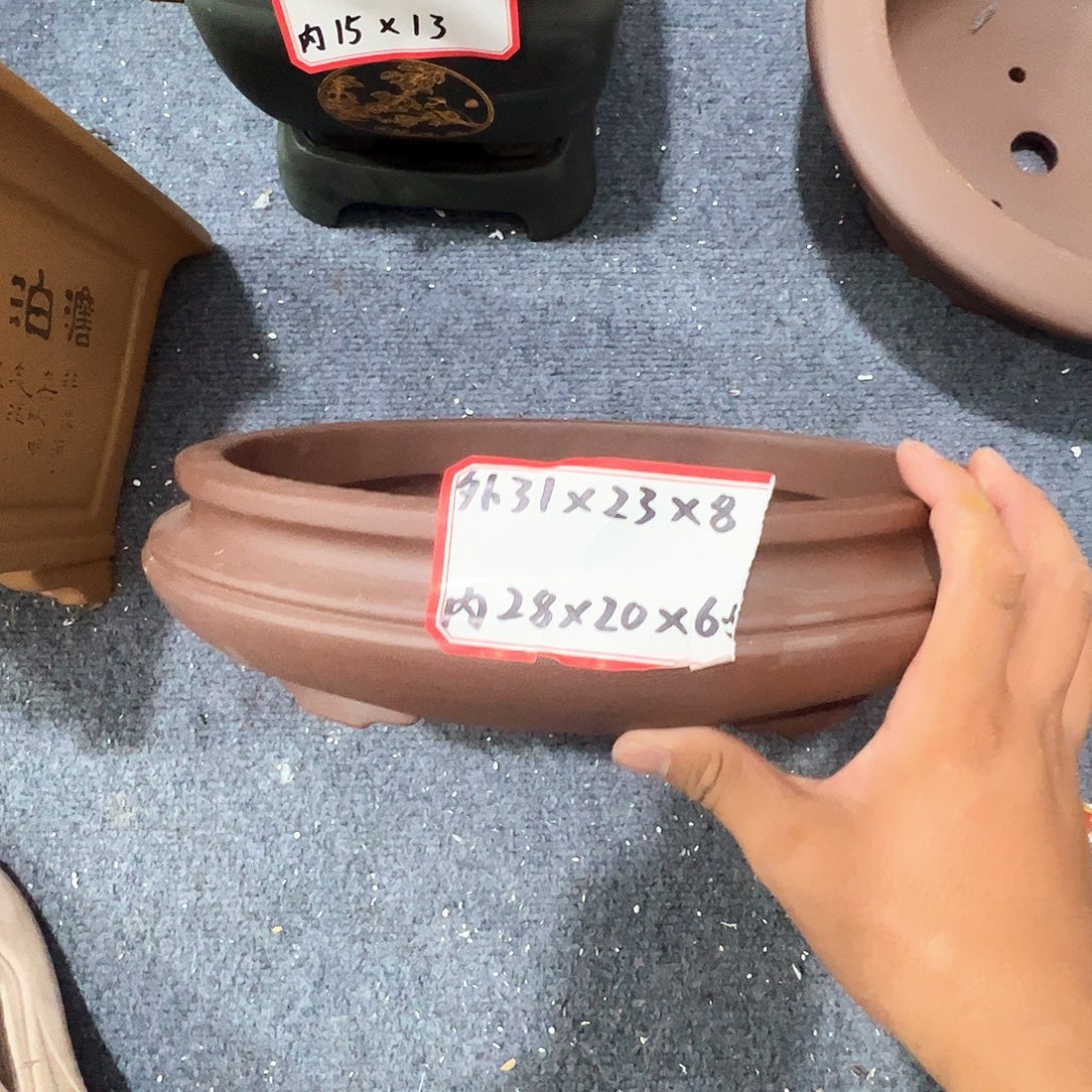 紫砂其他紫砂花盆