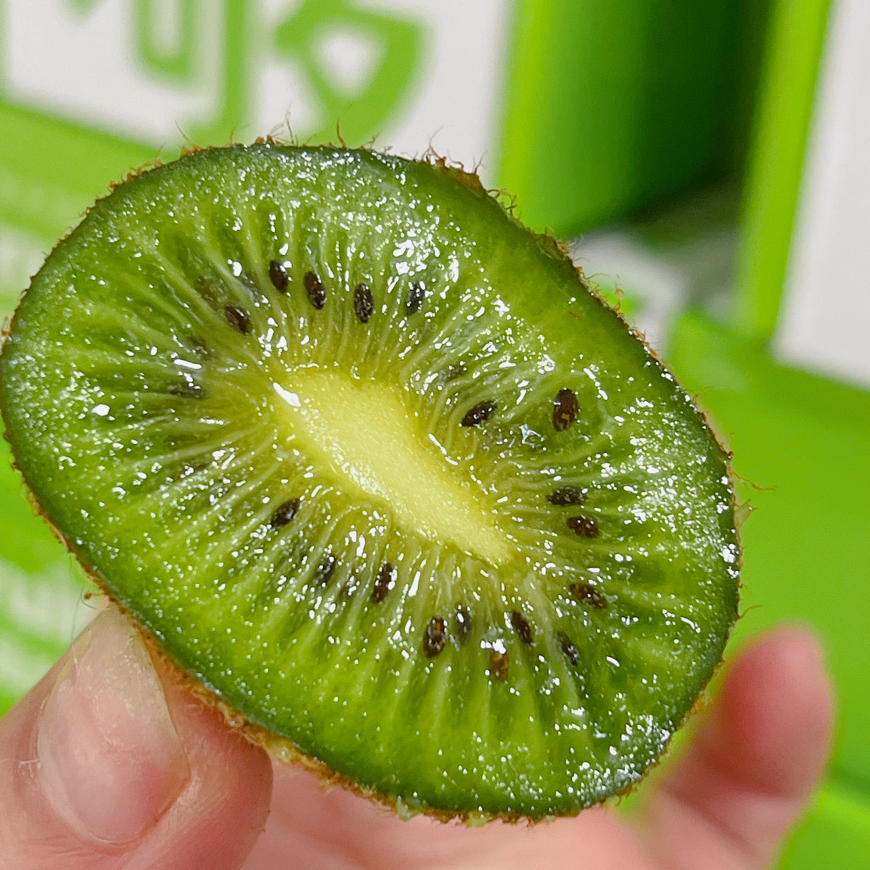 安安【韩美丽】修文即食猕猴桃 软糯香甜 入口即化贵州省