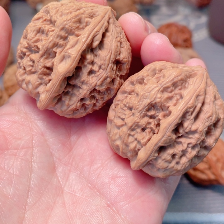 36尺寸华北将军膀 骨质好