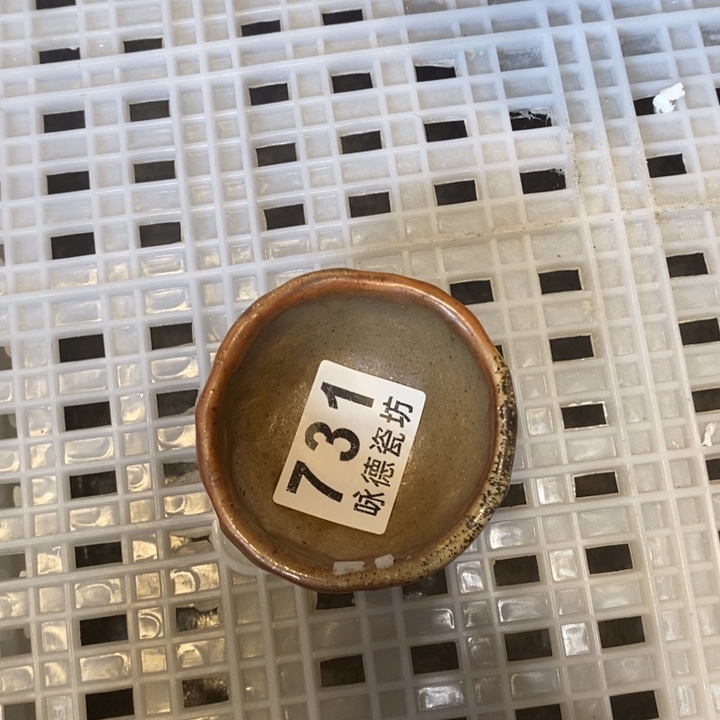 杯柴烧的很有营养呢这