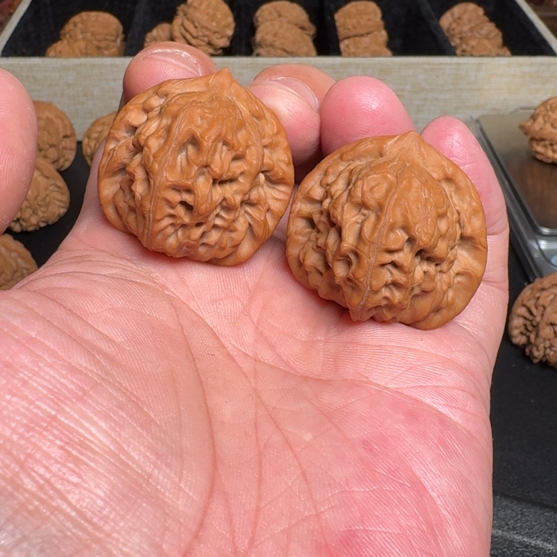 鹈***顶文玩核桃把件全品白蛇谷 尺寸36