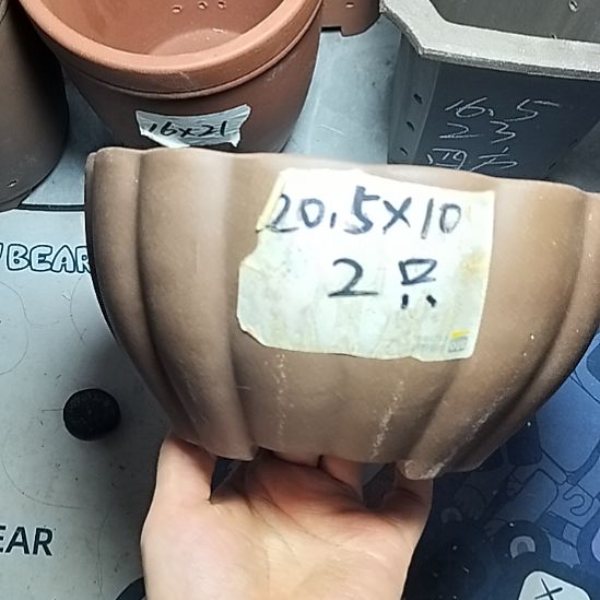 南瓜两个紫砂花盆