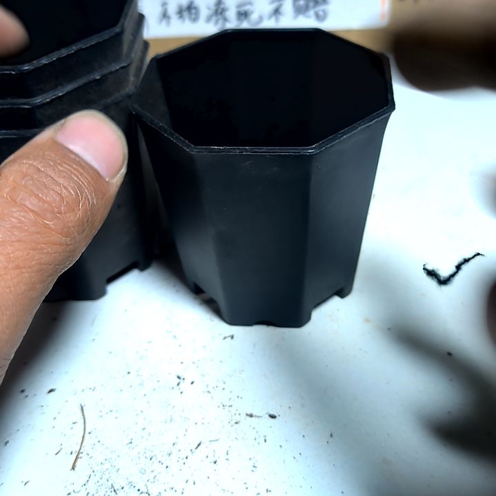 满6元包邮，八角盆十个黑色