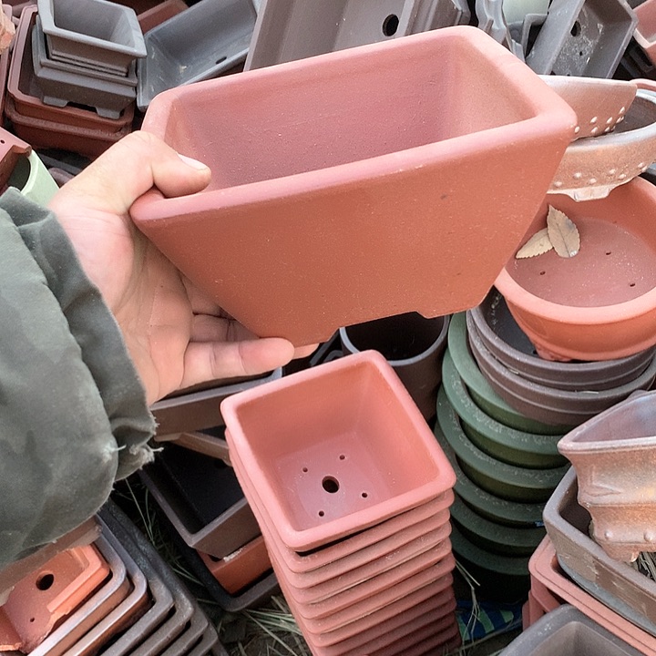 紫砂哈哈真的是太给力太火爆了