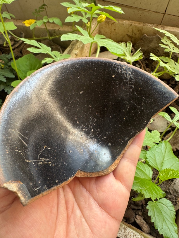 宋盏半片有地有天