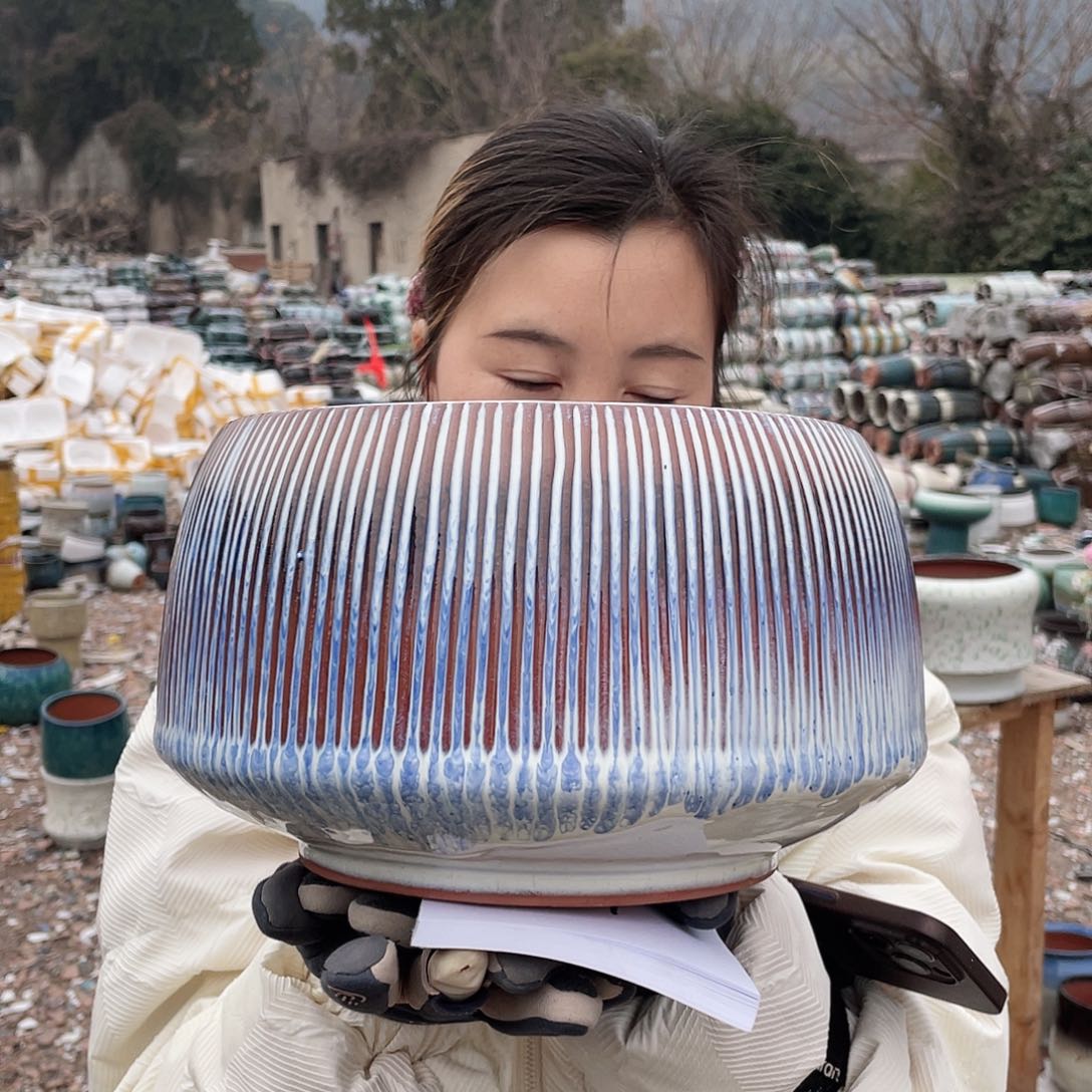 红陶王嫂花盆直播0225-796