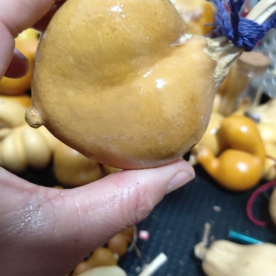 阿***辉回来哈哈哈哈哈哈哈哈