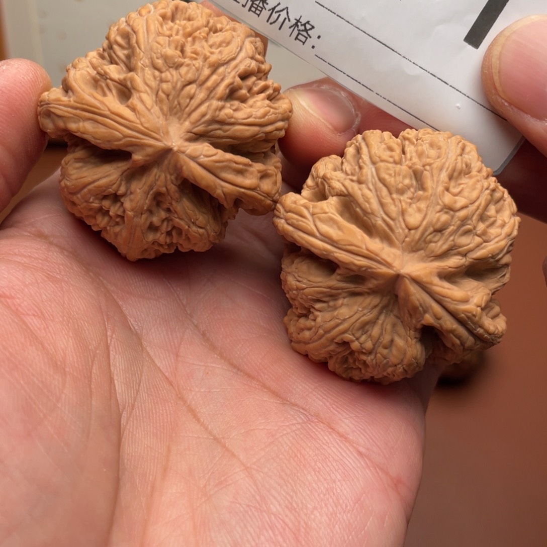 文玩核桃把件平谷大粗筋龟背43