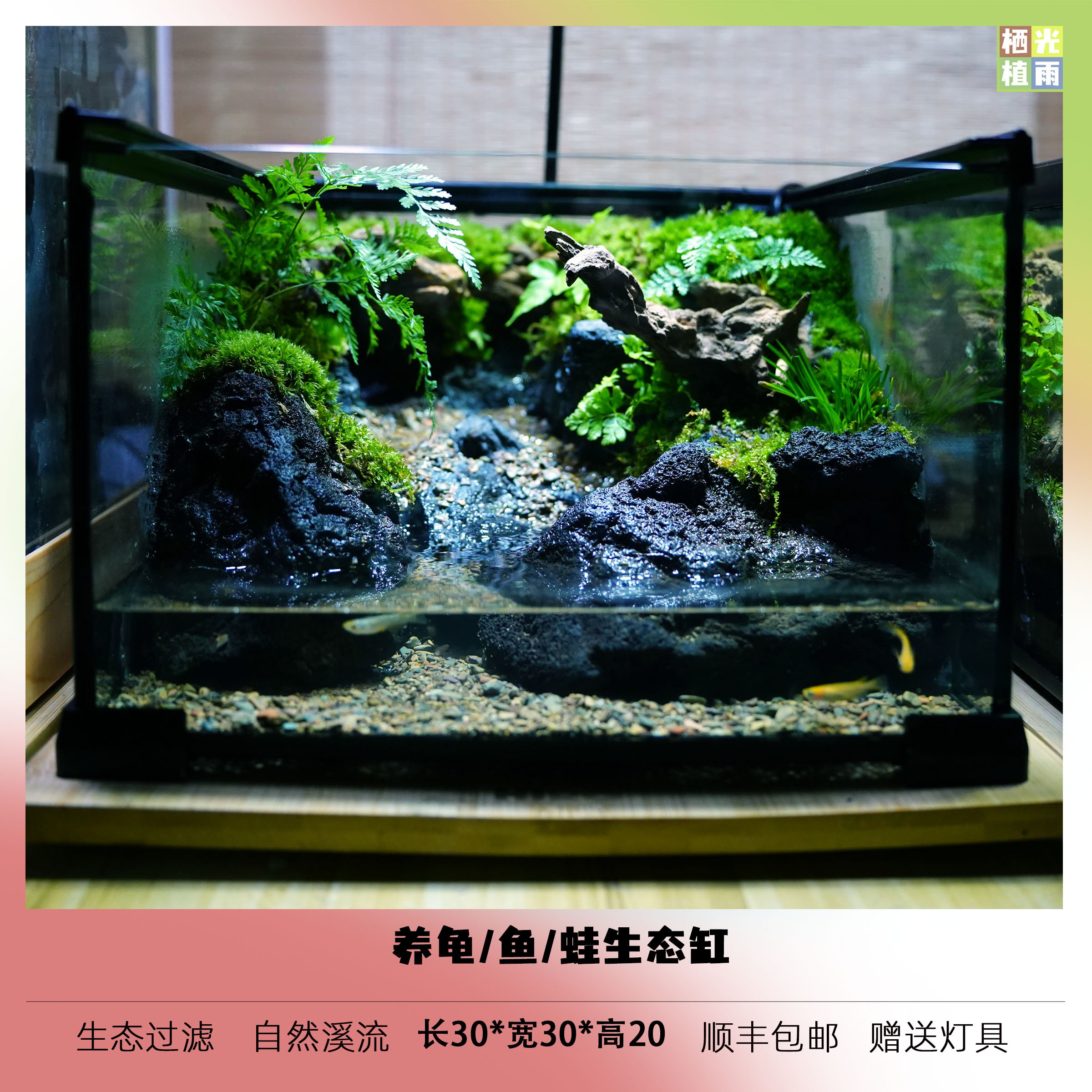 30*30*20养龟、鱼、蛙生态缸（赠送灯具）