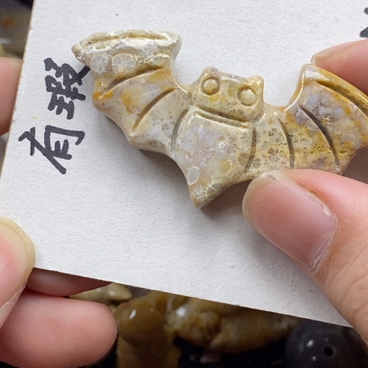 硅化珊瑚（珊瑚玉）未镶嵌颈饰