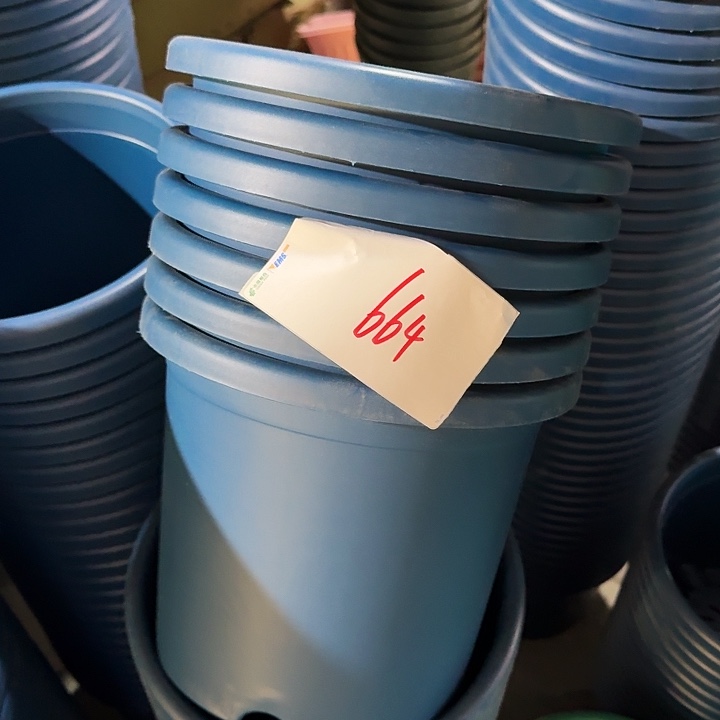 编号664瑕疵6个无托