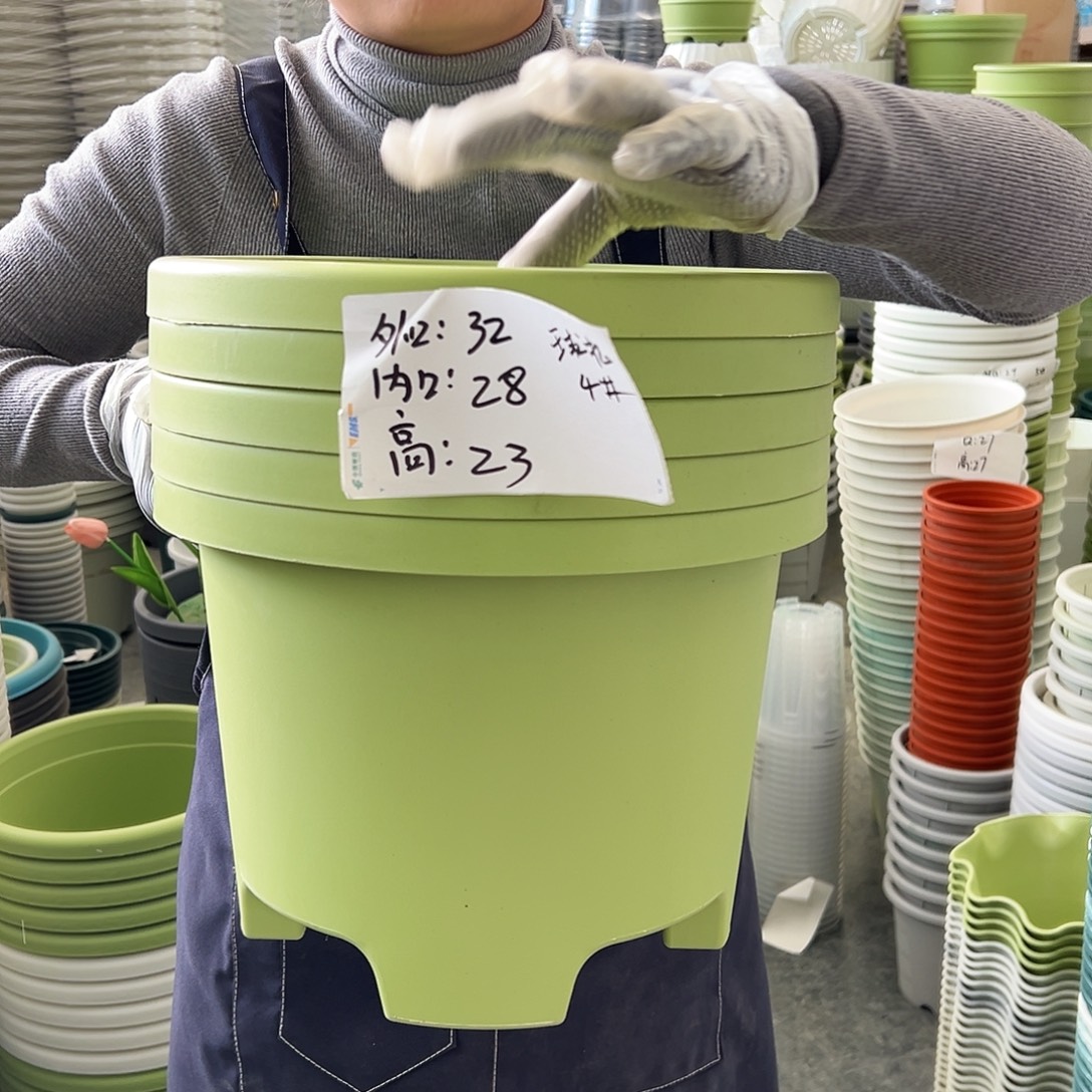 球根盆4#果绿色5个无托