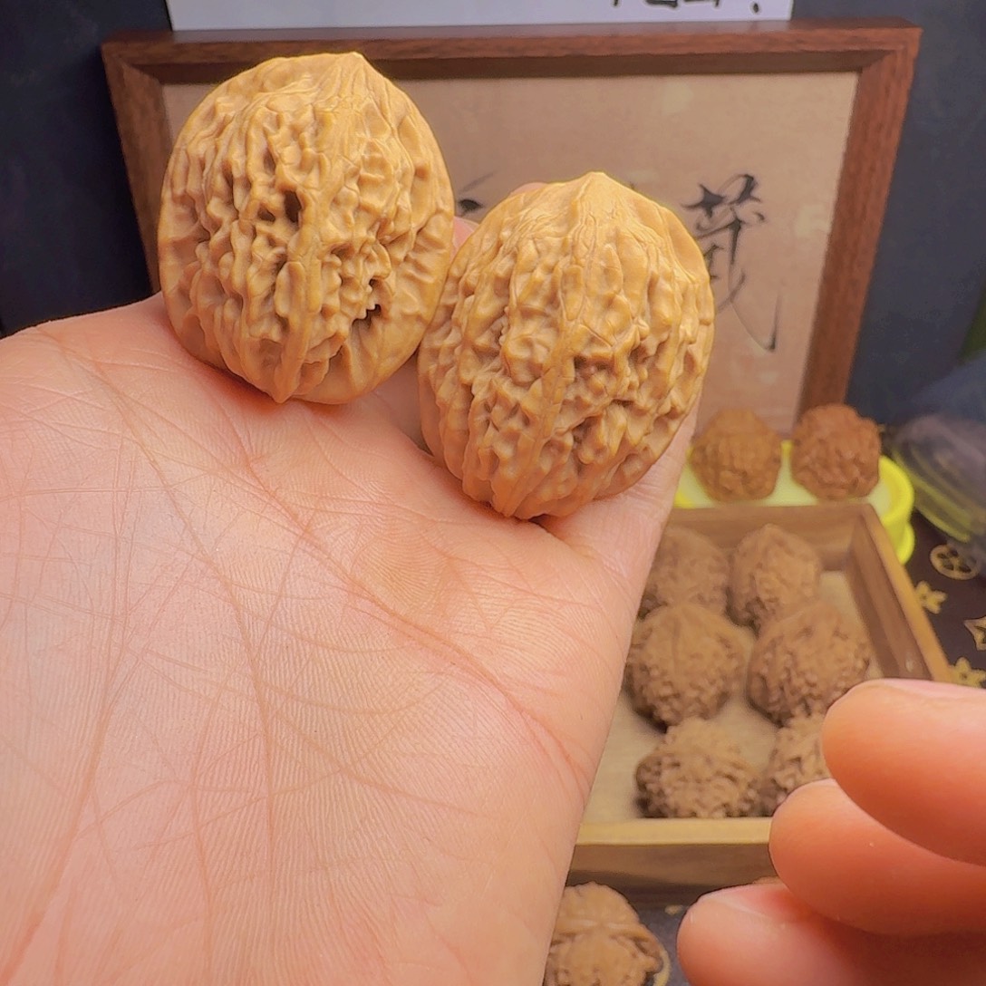 核韵臻藏鸡心小尺寸34