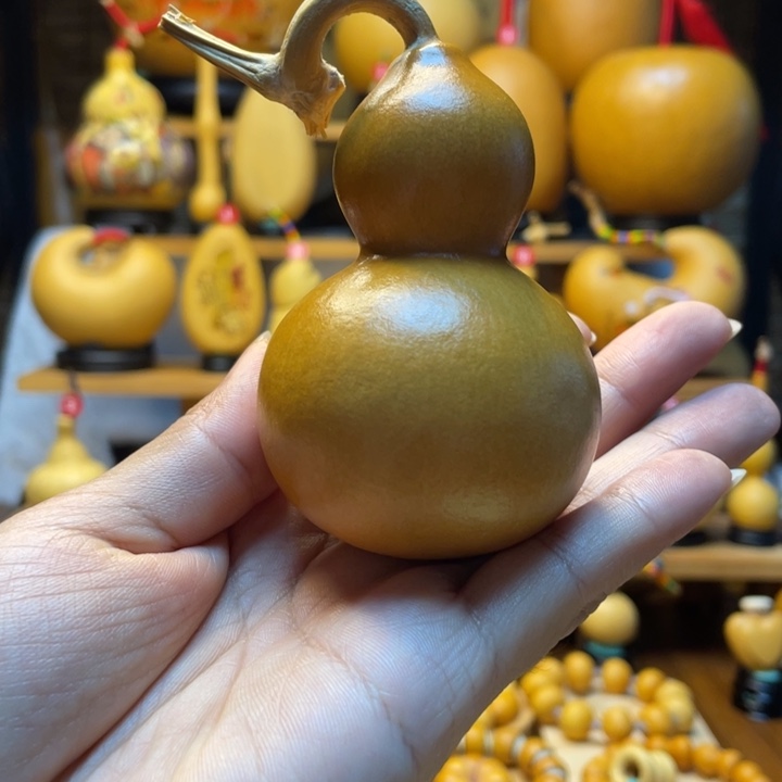****安天然葫芦自然生长
