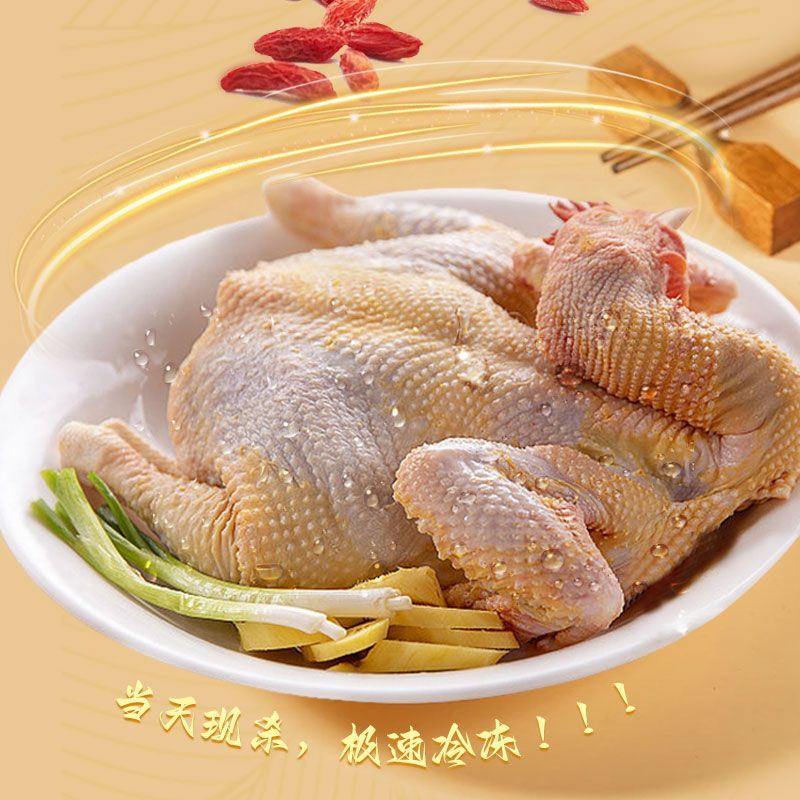 农家自家2年老母鸡心肝珍都带